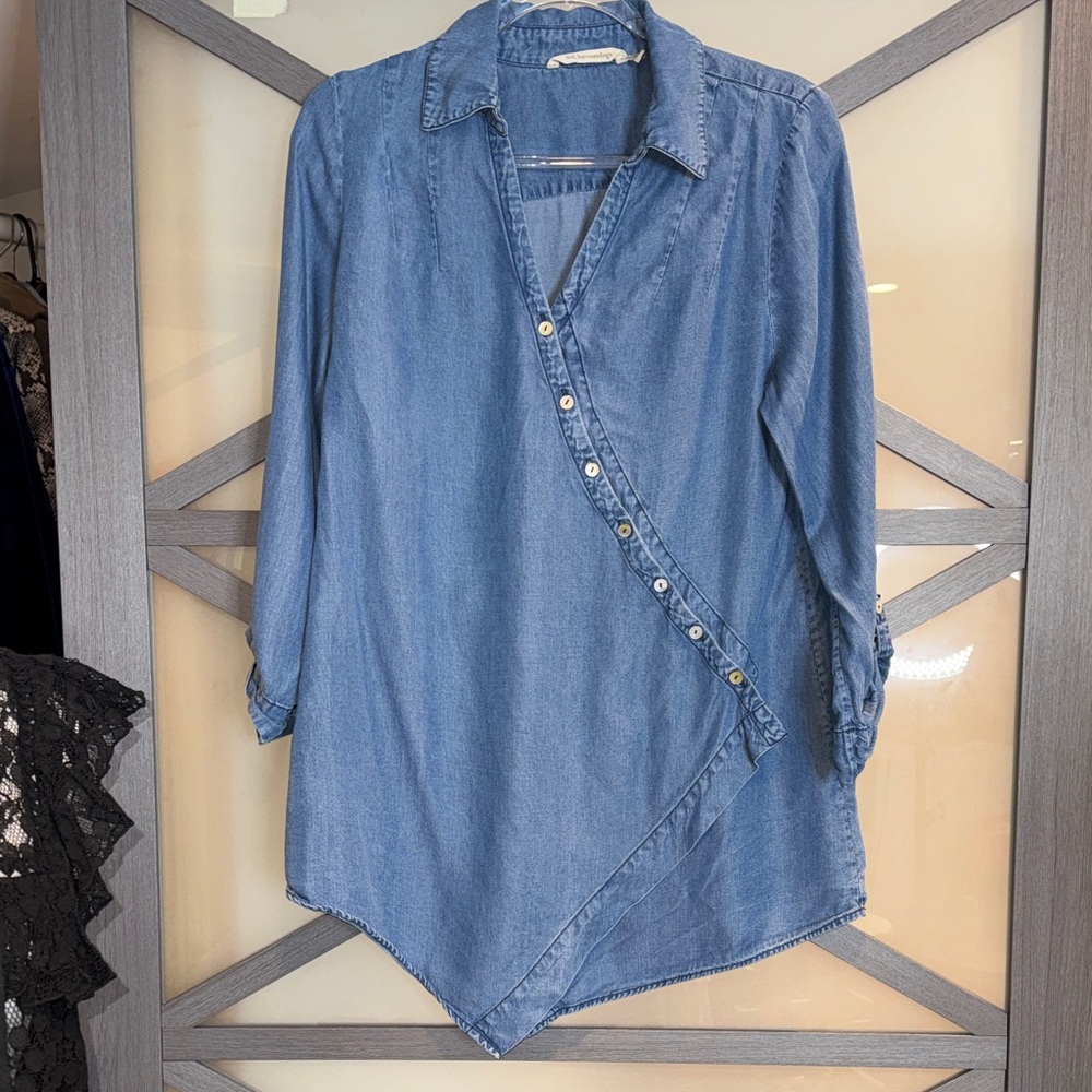 Soft Surroundings Blue Button Down Shirt